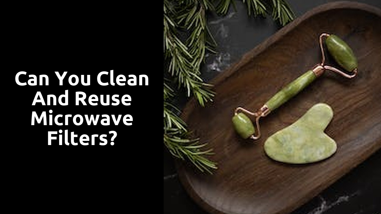 Can you clean and reuse microwave filters?